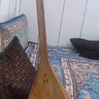 سازسنتی|سازهای سنتی|مشهد, شهید آوینی|دیوار