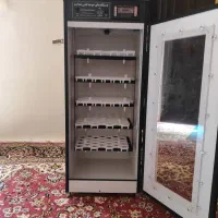 دستگاه جوجه کشی هدایت 210تایی