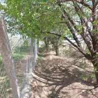 ۲قطعه زمین ۲۵۰۰متری سنددار مناسب سرمایه گذاری