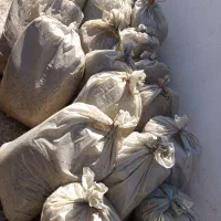 فروش تفاله چقندر