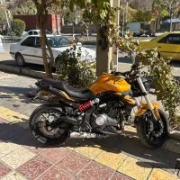 بنلی۳۰۰جفت