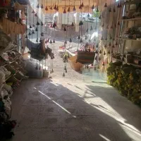 خشکبارودمنوش و صنایع دستی