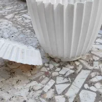گلدون