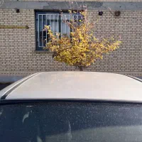 میتسوبیشی گالانت سوسماری|خودرو سواری و وانت|خوی, |دیوار