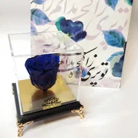 گل رز جاویدان درانواع رنگ ها ودیزاین دلخواه جاودان|گل و گیاه طبیعی|تهران, میدان ولیعصر|دیوار