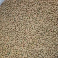 حبوبات ،کشمش پلویی، کره محلی (۳۰۰)|خوردنی و آشامیدنی|داراب, |دیوار