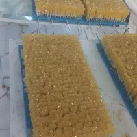 نبات|خوردنی و آشامیدنی|گندمان, |دیوار