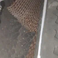 سایلنت باکس ماینر|قطعات و لوازم جانبی رایانه|برازجان, |دیوار