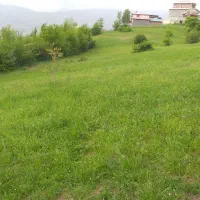 فروش فوری قطعه زمین مسکونی در شمال