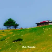 زمین-مسکونی