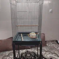 قفس گالوانیزه شده ضد زنگ