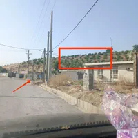 زمین باغ لیمو ثمری|فروش زمین و ملک کلنگی|دوگنبدان, |دیوار