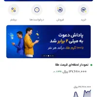 کسب درامد تضمینی