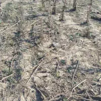 فروش مسکونی