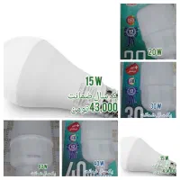 تعداد نیروی خانم و آقا