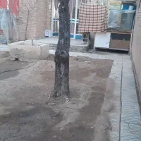 اجار سویت ویژ مسافر