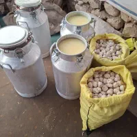 کشک و روغن محلی
