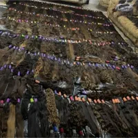 خریدار اصلی موبدون هیچواسطهای