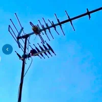 نصاب انتن