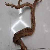 ریشه مخصوص آکواریوم
