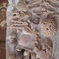 پمپ هوا آکواریوم سالم، وسایل تزئینی