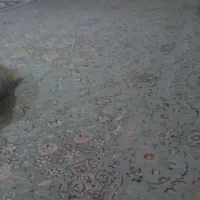 روفرشی ۶متره کش دار طوسی