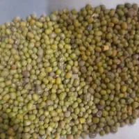 خرید و فروش انواع حبوبات|خوردنی و آشامیدنی|بابا حیدر, |دیوار