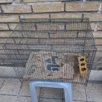 قفس پرنده