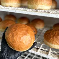 فروشنده خانم جهت کار در نان فانتزی