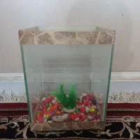 آکواریوم معاوضه با قفس