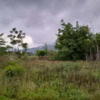 فروش ۳۱۸ متری