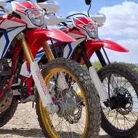 تریل برمودا 250xr