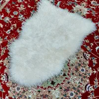 پوست گوسفند طبیعی- سفید