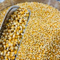 خشکبار/ذرت امریکایی/یلدا/پفیلا/عمده