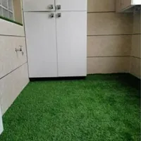 چمن مصنوعی|گل مصنوعی|خمین, |دیوار