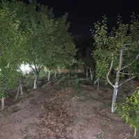 فروش باغ  ویلا ۱۴۰۰ متر خانه۷۰ در آبیک مالی اباد|فروش خانه و ویلا|کرج, ساسانی (قلمستان)|دیوار