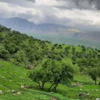 زمین ۲۰۰ متری نصرآباد