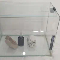 آکواریوم شیشه خم