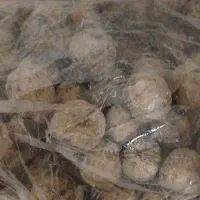 گردو ابهر با پوست درجه یک مال امسال