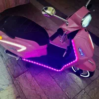 موتور برقی وسپا دونفره