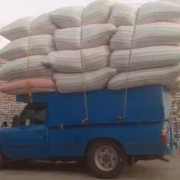 پنجاه تن کاه گندم