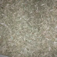 کاه لوبیا|لوازم جانبی حیوانات|بیرانوند, |دیوار