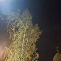 زمین شبکه بهداشت فاز۳