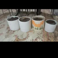 گلدان|گل و گیاه طبیعی|رشت, حومه رشت|دیوار