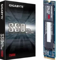 حافظه SSDاینترنال256مدل GP-GSM2NE3256GNTD NVMe M.2