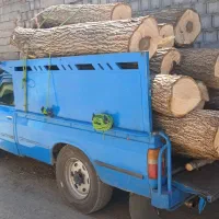 خرید چوب|خدمات باغبانی و درختکاری|ملایر, |دیوار