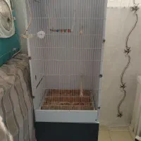 قفس چوبی