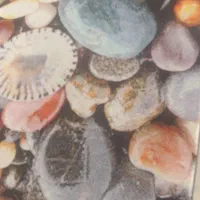 فرش فانتزی|فرش|ارومیه, |دیوار