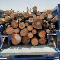 حمل بار به تمام نقاط  در اسرا وقت|خدمات حمل و نقل|تهران, خانی آباد نو جنوبی|دیوار