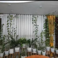 گل طبیعی